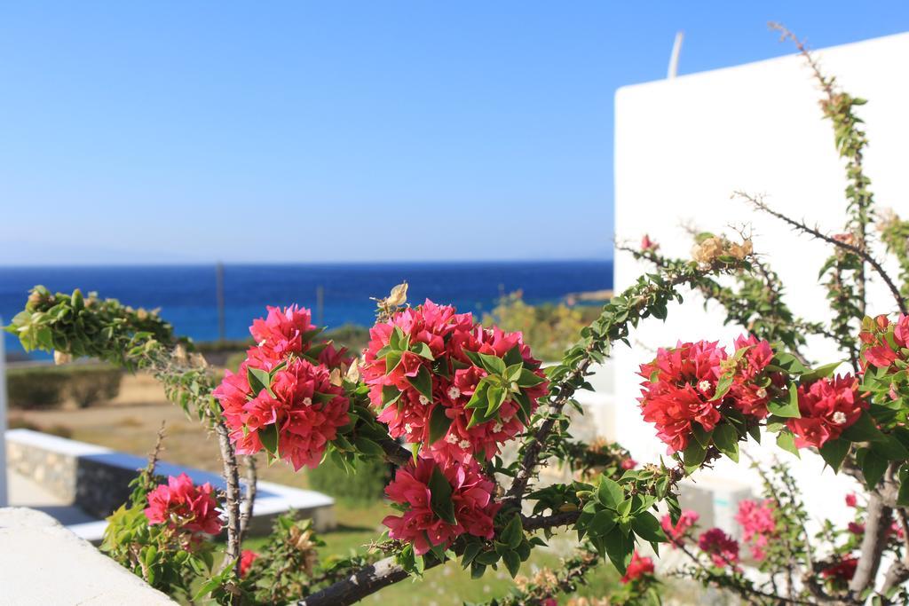 Glyfa Village Drios Dış mekan fotoğraf
