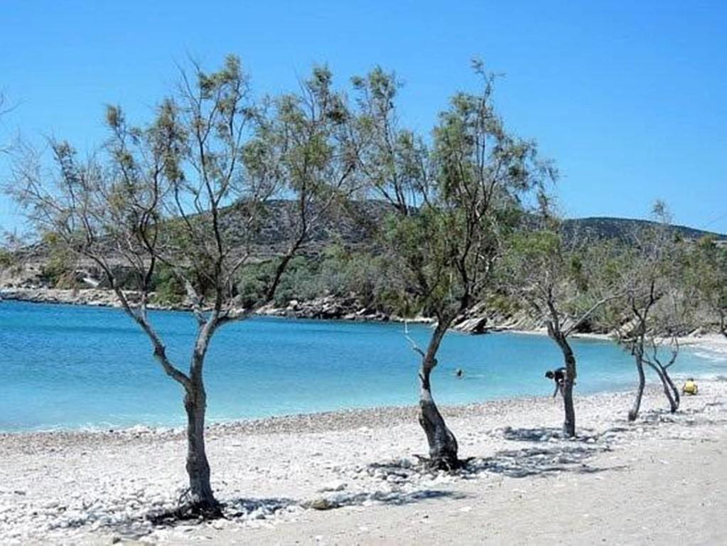 Glyfa Village Drios Dış mekan fotoğraf