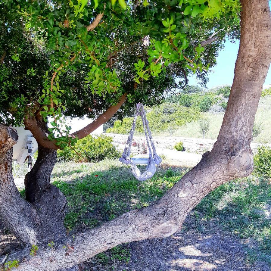 Glyfa Village Drios Dış mekan fotoğraf